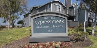 Cypress Creek Gallery 33