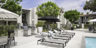 Breve Park Gallery 7