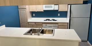 Shelter Creek Condo 1/1 available now Gallery 4