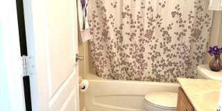 20314 Noble Oak Place - 1 Gallery 21