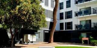 Bellevue Towers Gallery 3