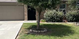 2118 Silver Maple Gallery 1