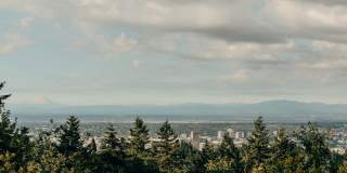 North Hollow Gallery 43