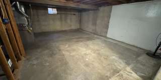 Live in the Timbers Gallery 21