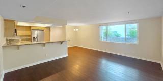 Steps from the Beach: 2BD/2BA Condo in Pacific Beach with Balcony, W/D & Covered Parking Gallery 5