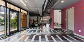 Uptown 550 Gallery 43