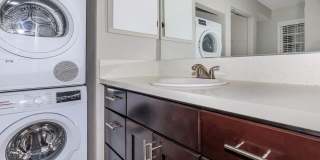 The Lake Gallery 101