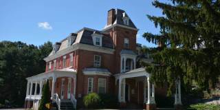 3 Pine Terrace Road Gallery 3