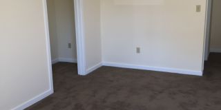 Chestnut Hill East Gallery 12
