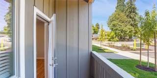 Spring Woods Gallery 17