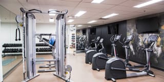 Ambassador Gallery 4