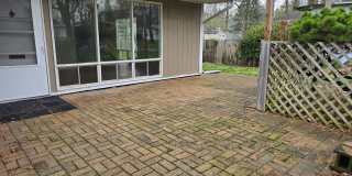 3 Bedroom Century Modern Home Gallery 22