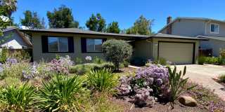 Spacious single-story 4-bedroom, 2-bath home Gallery 1