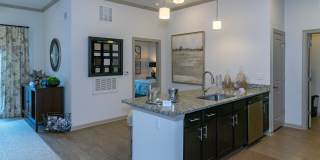 Rock Island Ridges at Riverchase Gallery 8