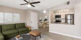 Rise Skyview Gallery 11