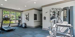 Durant at Sugarloaf Gallery 13