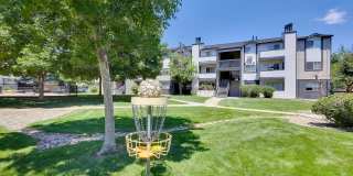 Cottonwood Creek Gallery 22