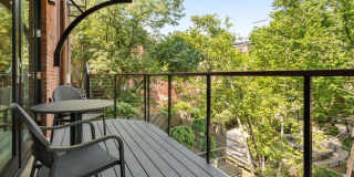 53 Rutland Sq. Gallery 7
