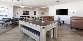 The Shelby Gallery 17