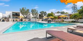 Arrive Laurie Lane Gallery 18