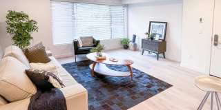 Edric Apartments Gallery 5