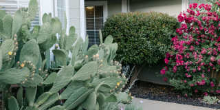 2120 Boyden Drive Gallery 1