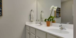 Available early July! Adorable 3 bedroom home in Downtown with fenced yard! Gallery 21