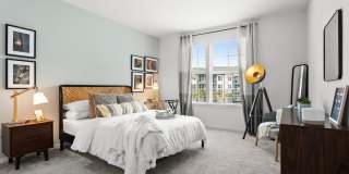 Gateway at Pinellas Apartments Gallery 5