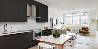 The Duchess Gallery 28