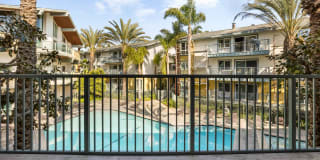 Marina 41 Gallery 22