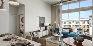 Roadrunner on McDowell Gallery 17