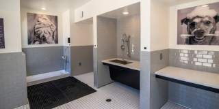 Vasari at Ventana Gallery 8