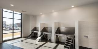 Southerly at LoSo Gallery 68
