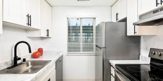 ReNew Dash Point Gallery 9