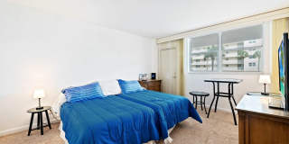 1050 Hillsboro Mile Gallery 22