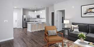 Holly Springs Gallery 8