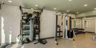 Aspire at Flamingo Grand Gallery 37