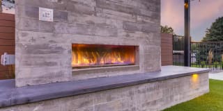 Elm at Panorama Gallery 16