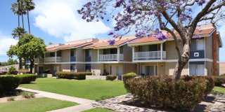 Rancho Solana Gallery 17