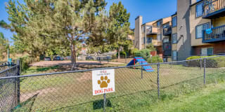 Loretto Heights Gallery 45