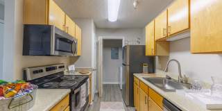 The Sound at Saint Martin Gallery 3