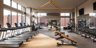 Forge Apartments Gallery 6