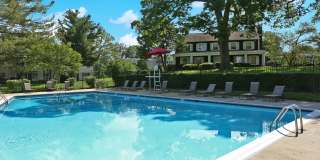 Halpine View Gallery 32