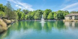 Lakeside Retreat at 27 Gallery 15