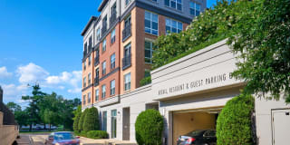 Domain College Park Gallery 34