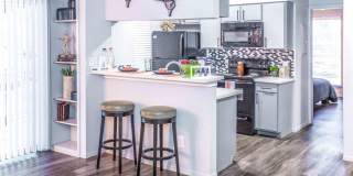 Treehouse Treehouse Gallery 1