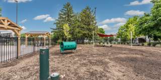 Fox & Hounds Gallery 20