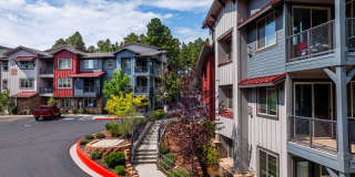 Mountain Trail Gallery 22