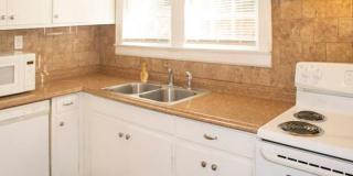 2 BR/2BA | Newly Renovated Single Family Home | Additional Storage| In North Knoxville! Gallery 25