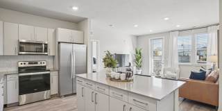 Northshore Apartments Gallery 4